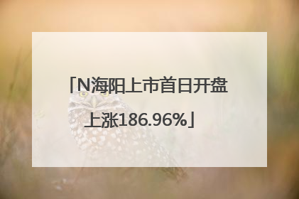 N海阳上市首日开盘上涨186.96%