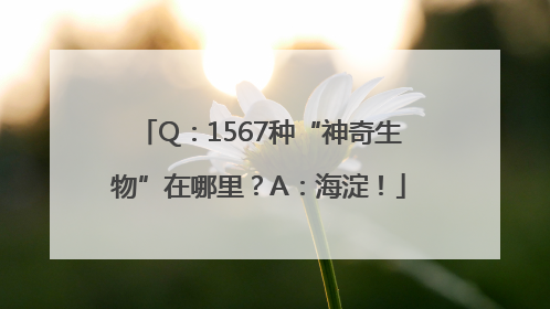 Q：1567种“神奇生物”在哪里？A：海淀！